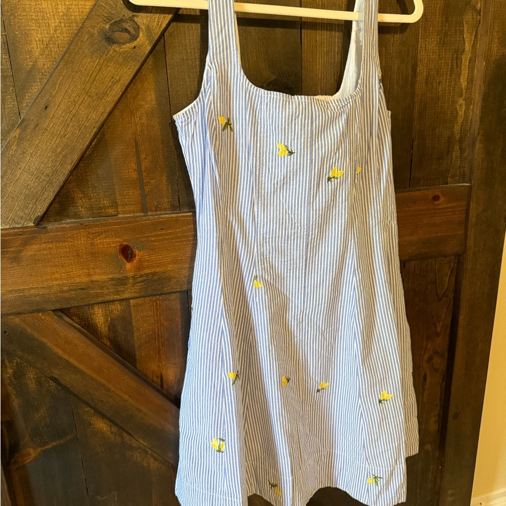 Charming women’s Dress with Yellow lemon Embroidery